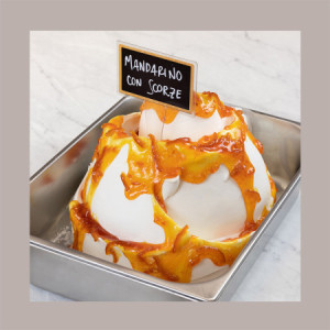 Variegato al Gusto Mandarino con Scorze ideale per Gelato Dessert Leagel 2 Kg