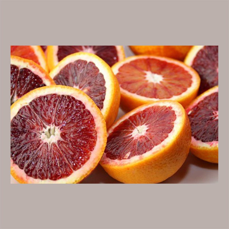 Easy Gelato Arancia Rossa,Curcuma Peperoncino LEAGEL 1,25 Kg [b530dba6]