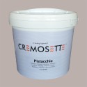 Crema Spalmabile Cremosette Farcitura al Gusto Pistacchio Leagel 5,5 Kg [f7dcb1c4]
