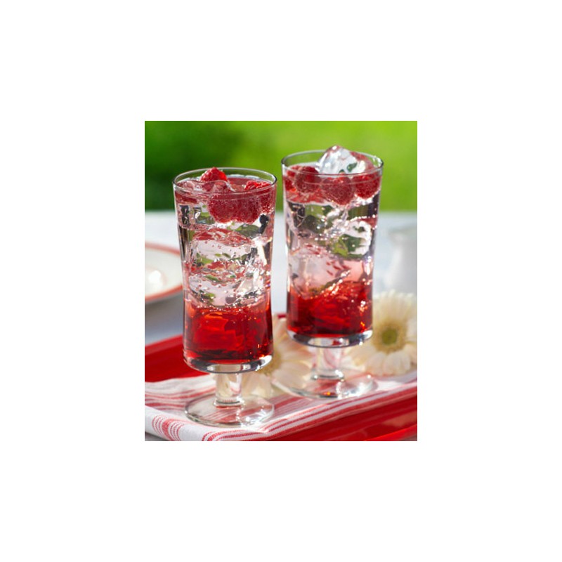 Sciroppo per Granita Gusto Mirtillo Zero Calorie Senza Zuccheri Toschi 740 gr [0c1d70a2]
