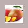 Pasta Frutta Concentrata al Gusto di Mango Alphonso ideale per Gelato Dolci Leagel 3,5 Kg [aac27169]