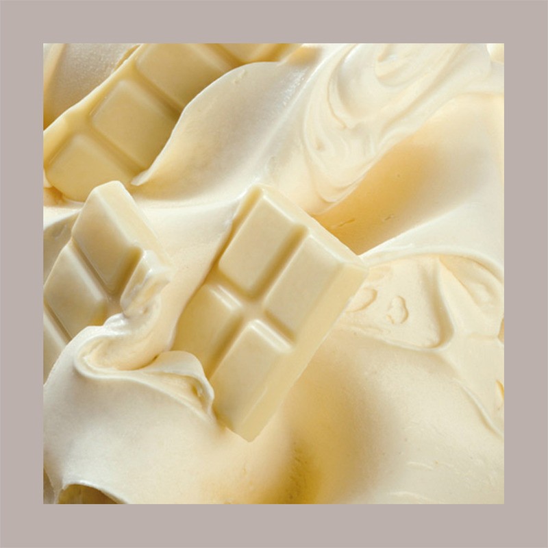 Pasta Gusto Cioccolato Bianco ideale per Gelato Dolci Delipaste Fabbri 1,2 Kg [d394cd48]
