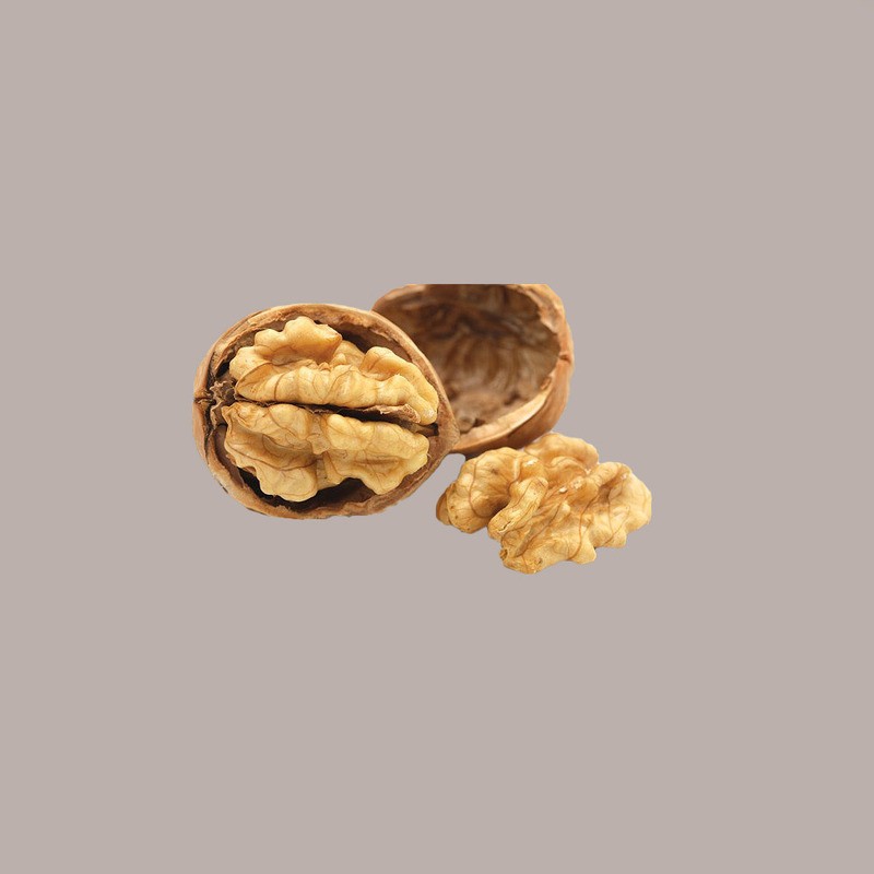 Pasta Gusto Noce ideale per Gelato Dolci Delipaste Fabbri 1,2 Kg [ca0c7985]