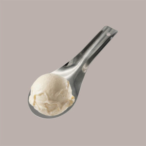 Paletta in Acciaio per carapina Gelato 5 pezzi