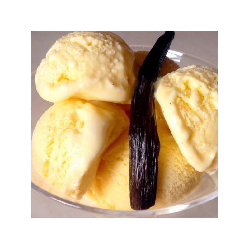 Pasta al Gusto di Vaniglia Francese ideale per Gelato Dolci Leagel 3,5 Kg [aae52ff9]