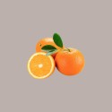 Glassa a Specchio Gusto Arancia ideale per Semifreddi Dolci Leagel 1,5 Kg [3c6ce539]