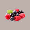 Pasta Farcitura al Gusto Frutti di Bosco ideale Pasticceria Dolci Leagel 1,5 Kg [2d8206d7]