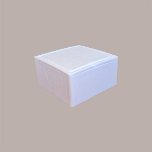 Cassa Termica in Polistirolo per Asporto Torte Gelato Semifreddi 24x24H11cm 2 pezzi [344011b4]