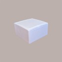 Cassa Termica in Polistirolo per Asporto Torte Gelato Semifreddi 24x24H11cm 2 pezzi [344011b4]