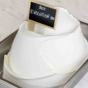 Base per Gelato a caldo Gusto Latte Preparato in Polvere Evolution 100 Leagel 2 Kg [0855bb80]