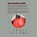 Base Sorbetto 50 GMS Basso Dosaggio per Gelato alla Frutta Vegan Ok Preparato in Polvere Leagel 2 kg [c8575011]