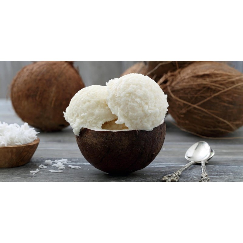 Easy Base per Gelato al Gusto di Cocco Plant Based Senza Derivati del Latte Preparato in Polvere Leagel 1,5 Kg [08d21758]