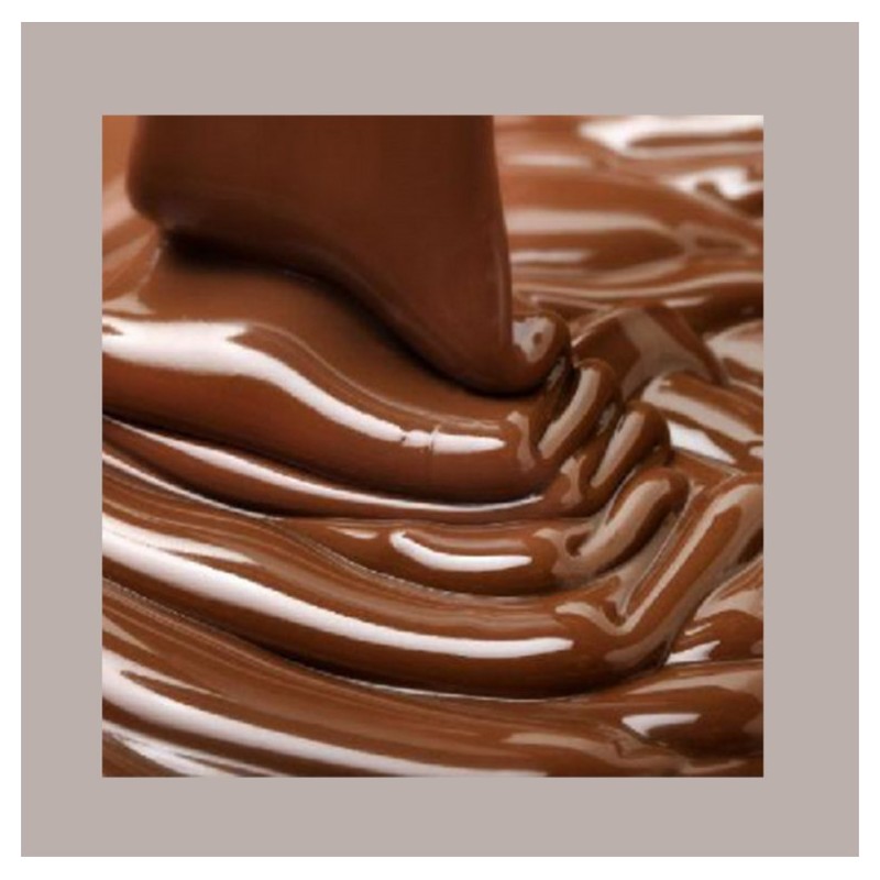 Topping al Gusto Cioccolato Senza Glutine Ideale per Gelato Yogurt Dessert Menz&Gasser 1 kg [793b868e]