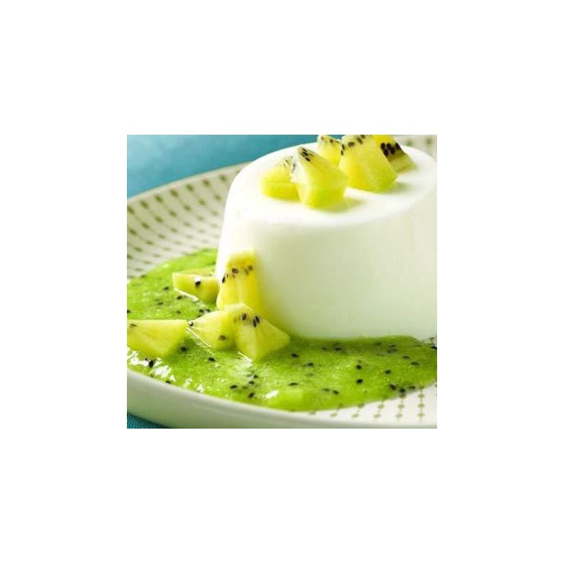 Topping Gusto Kiwi Salsa Dolce ideale per Gelati Dessert Yogurt Leagel 1 Kg [e42726d8]