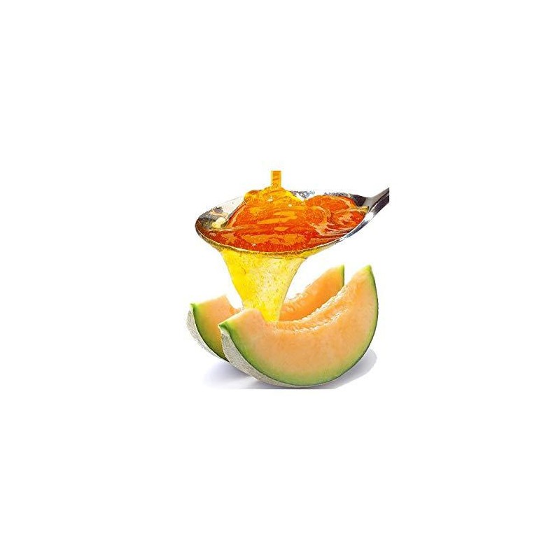 Topping al Gusto Melone Salsa Gourmet per Gelati Dessert Yogurt Leagel 1 Kg [a814f065]