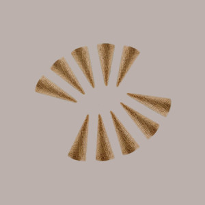 Cono Arrotolato Classic Cialda per Gelato Dm39H150mm Italcialde 300 pezzi [23f9b311]