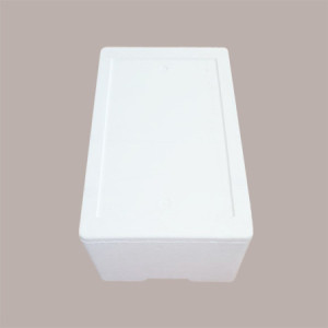 Cassa Termica in Polistirolo Bianco per Asporto Alimenti Freschi o Surgelati 60x37,5 cm H 26,5 cm [dbb5a450]