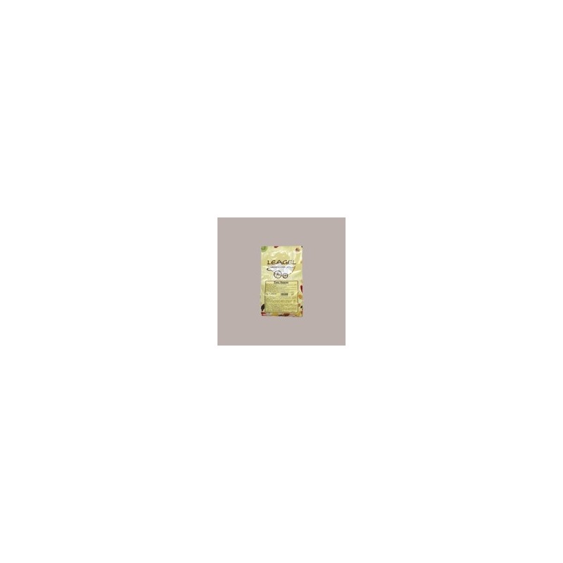 1,25 Kg Easy Gusto Ananas Preparato in Polvere ideale per Gelato Leagel [2b675019]