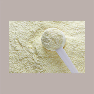 Neutro Latte 5 a Caldo Leagel Preparato in Polvere a bassoi dosaggio ideale per Gelato 2 Kg [1dc13aae]