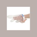 Base Magnetica per Guanto Igienico a Tre Dita Kit Multiuso Clean Hands [e124cef9]