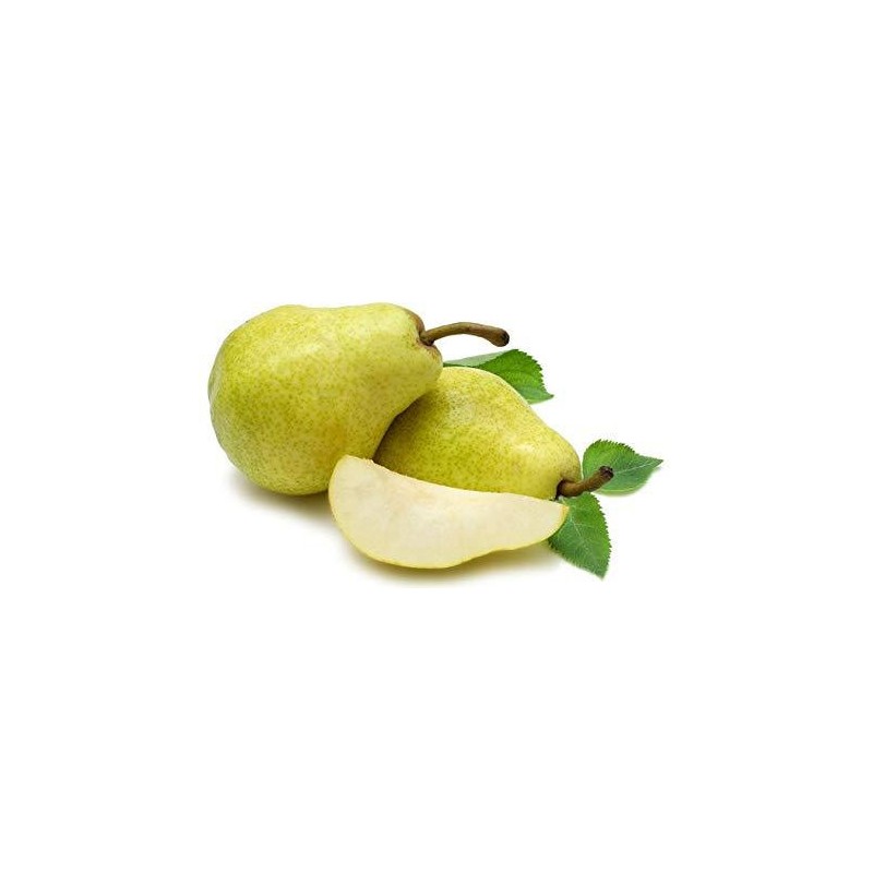 Easy Gusto Pera e Zenzero Vegan Preparato Polvere per Gelato Leagel 1,2 kg [727bae3e]