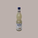 Sciroppo Concentrato per Granita Gusto Cocco Plus Mixybar Fabbri 1,3 kg [6d7d5c65]