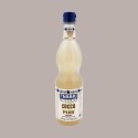 Sciroppo Concentrato per Granita Gusto Cocco Plus Mixybar Fabbri 1,3 kg [e0f69d3d]