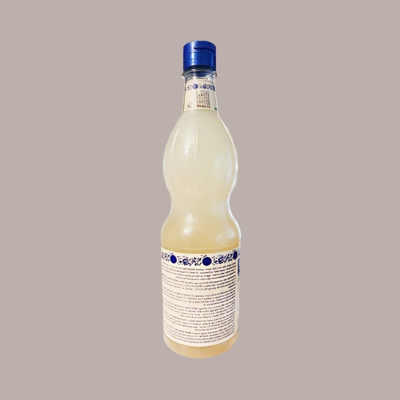 Sciroppo Concentrato per Granita Gusto Cocco Plus Mixybar Fabbri 1,3 kg [e5a6da23]