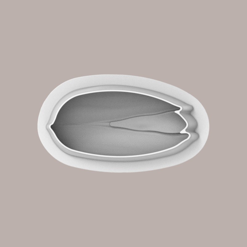 Stampo in Silicone Frutta Realistica Frutto del Pistacchio con Guscio 190x94H73 mm [7377ff1e]