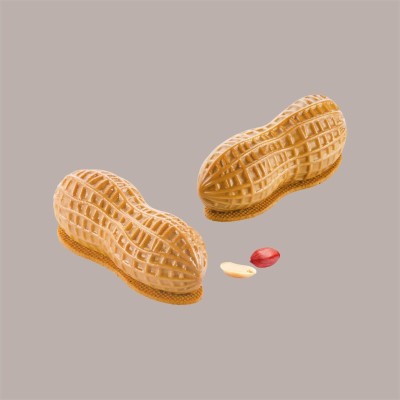 Stampo in Silicone per Frutta Realistica Arachide 107x43h40 mm [b262f088]