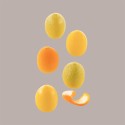 Stampo in Silicone per Frutta Realistica Agrumi 30x29H35 mm [5525eeea]