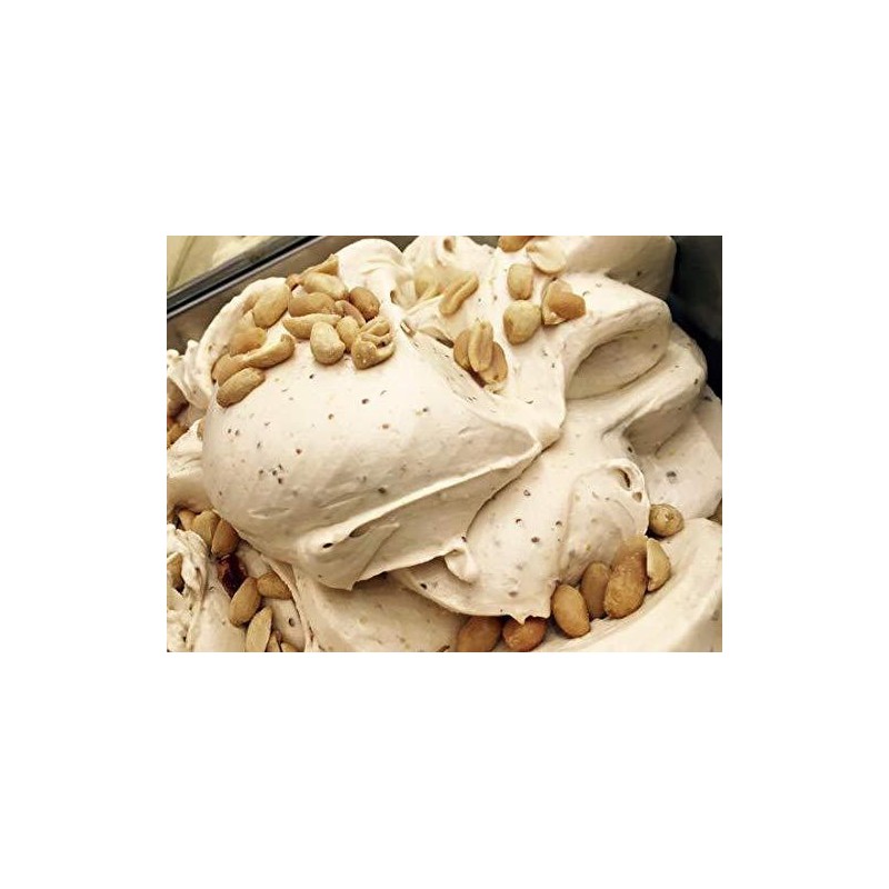 Pasta Concentrata al Gusto Arachide per Gelato e Dolci Leagel 5 Kg [cd1ae4ac]