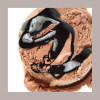 Pasta Concentrata Gusto Gianduia per Gelato e Pasticceria Leagel 3,5 Kg [59fc5bc4]