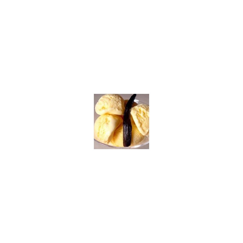 Pasta al Gusto di Vaniglia Linea Gold ideale per Gelato Dolci Leagel 3,5 Kg [bfe27849]