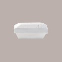 Vaschetta per Gelato in Polistirolo YETI L 500 gr / 750 cc Alcas 50 pezzi [d3af3fd8]
