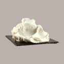 Frozen al Gusto Yogurt per Macchina Soft Gelato Senza Lattosio YogursprinT Pregel 1,2 Kg [286b5bb6]