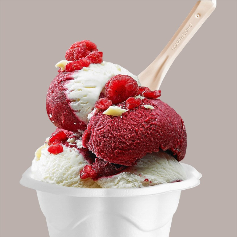 Palettina Spoon PLA BIO COMPOST Verde Hawaii Ideale per Gelato Yogurt Granite 9,5 cm 1 kg 483 pezzi [242aa730]