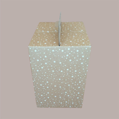 Scatola per Confezione Regalo Natale Porta Panettone Bottiglia Valigetta Media in Cartoncino Avana grafica Stelle Bia [6c43c3b0]
