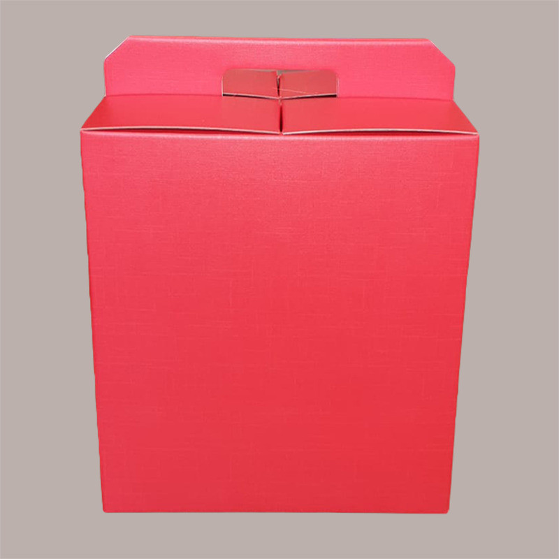 Scatola per Confezione Regalo Natale Porta Panettone Bottiglia Valigetta Piccola Cartoncino grafica Seta Rosso 280x20 [37f85279]