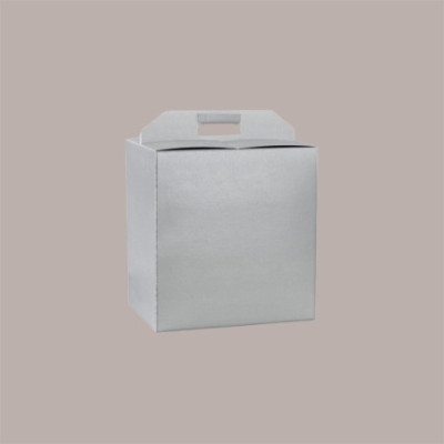 Scatola per Confezione Regalo Natale Porta Panettone Bottiglia Valigetta Piccola Cartoncino grafica Skin Argento 280x [83673402]