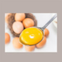 Tuorlo d'Uovo Zuccherato 50% Stabilizzato EUROVO Brik da 1 Kg [6108ca15]