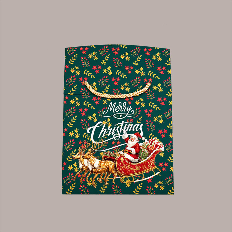 Porta Panettone Bag Box BABBO NATALE Colori Assortiti con Manici in Cotone e Fondo Largo 24x24H20 cm 12 Pz [6a1d8e6a]